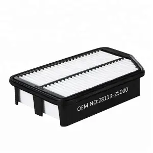 Premium Air Filter FAP-28113-2S000